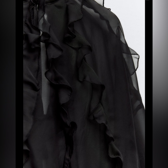 Zara semi sheer oversized ruffle organza blouse - Picture 8 of 12